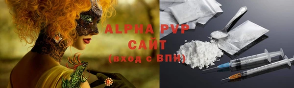 стаф Баксан