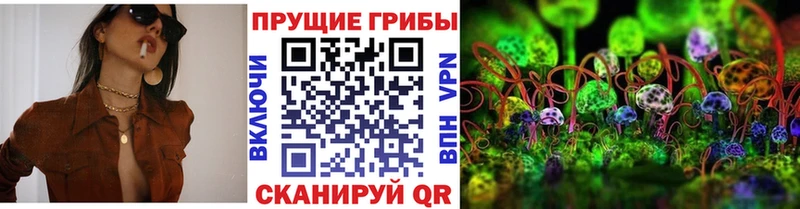 Псилоцибиновые грибы прущие грибы  Мценск 