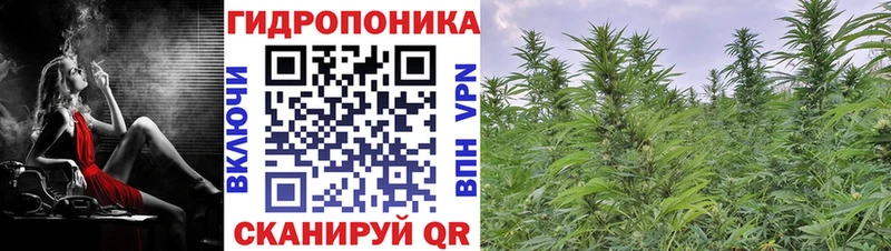 Бошки марихуана Amnesia  Мценск 